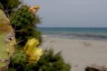 /album/calabria/calabria-6-jpg/